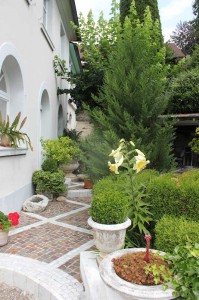 Appartement-Waldhorn-Badenweiler (10) (1)