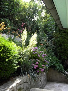 Appartement-Waldhorn-Badenweiler 4